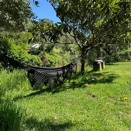 Casas Rio Cheleiros