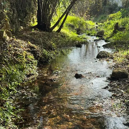 Πανσιόν Casas Rio 3*