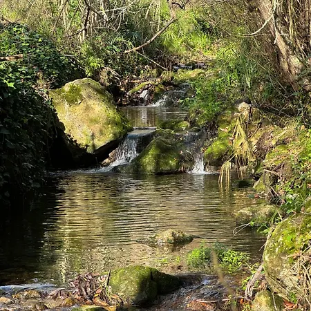 Casas Rio 3* Cheleiros