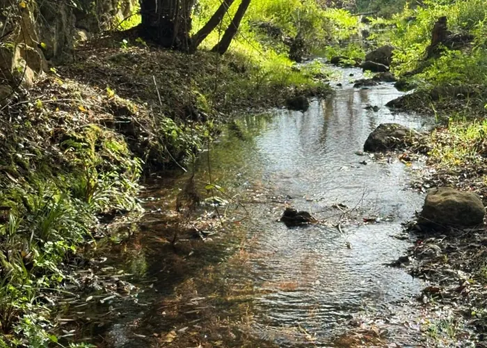 Guest house Casas Rio 3*