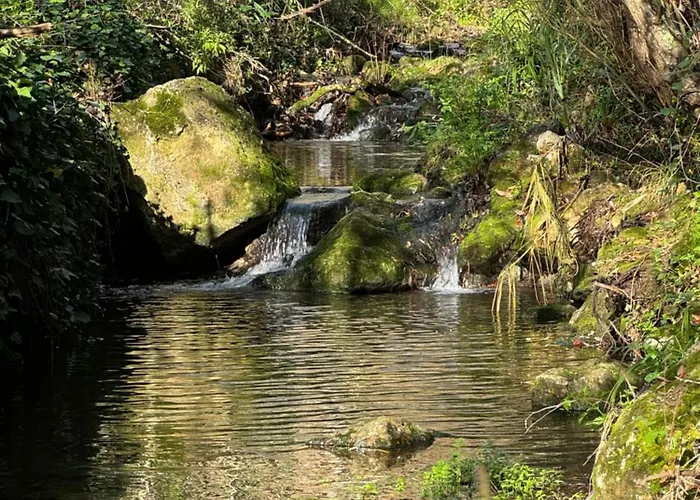 Casas Rio 3* Cheleiros